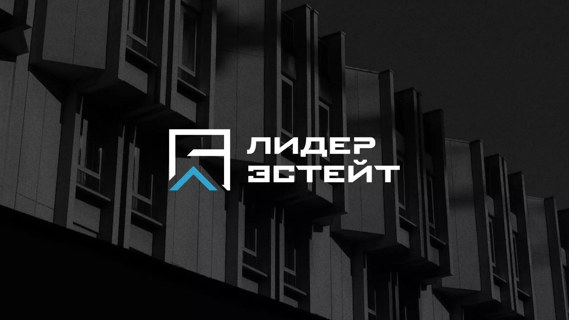 Разработка логотипа агентства недвижимости «Лидер Эстейт» в Камышлове